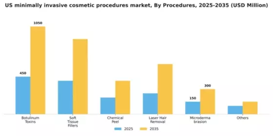 US Minimally-Invasive Cosmetic Procedures Market Segment Image 2