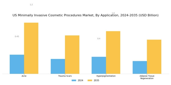 US Minimally-Invasive Cosmetic Procedures Market Segment Image 2