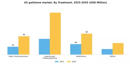 US Gallstone Market Segment Image 2