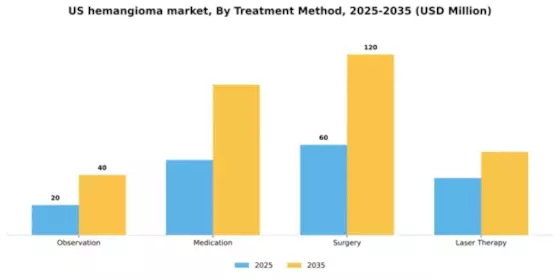 US Hemangioma Market Segment Image 2