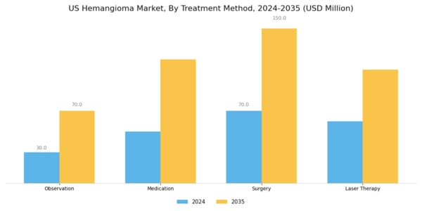 US Hemangioma Market Segment Image 1