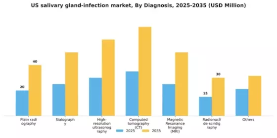 US Salivary Gland Infection Market Segment Image 0