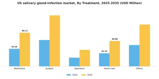US Salivary Gland Infection Market Segment Image 2