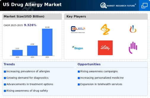 US Drug Allergy Market Infographic