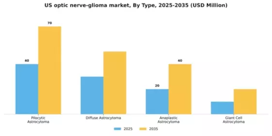 US Optic Nerve Glioma Market Segment Image 3
