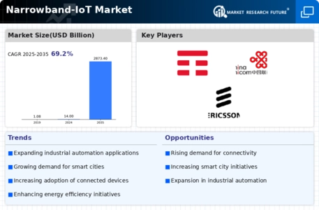 Narrowband IoT Market Infographic
