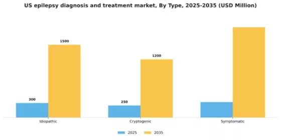 US Epilepsy Diagnosis Treatment Market Segment Image 3