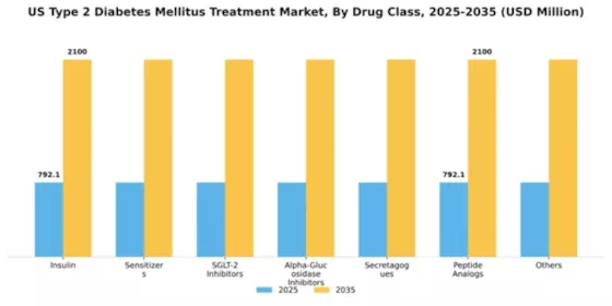 US Type 2 Diabetes Mellitus Treatment Market Segment Image 1
