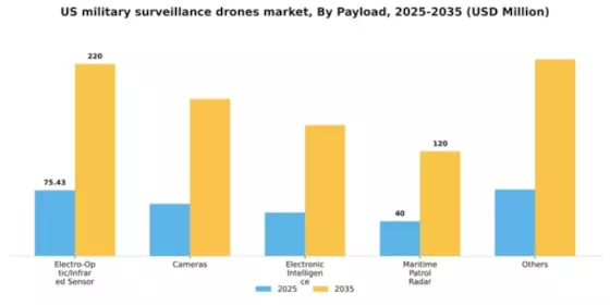 US Military Surveillance Drones Market Segment Image 0