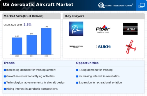 US Aerobatic Aircraft Market Infographic