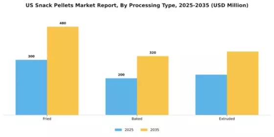 US Snack Pellets Market Segment Image 2