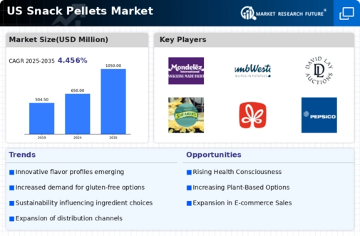 US Snack Pellets Market Infographic