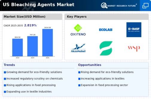 US Bleaching Agents Market Infographic