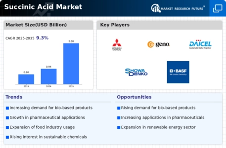 Succinic Acid Market Infographic