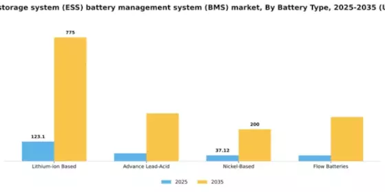 US Energy Storage System ESS Battery Management System BMS Market Segment Image 0