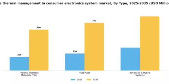 US Thermal Management in Consumer Electronics System Market Segment Image 1