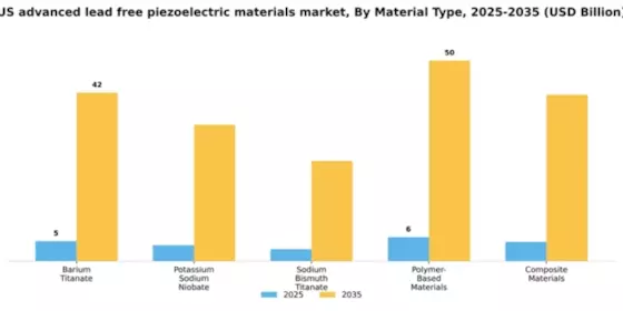 US Advanced Lead-Free Piezoelectric Materials Market Segment Image 3
