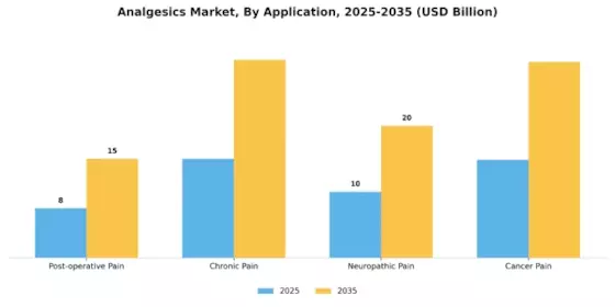 Analgesics Market Segment Image 1