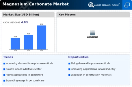 Magnesium Carbonate Market Infographic