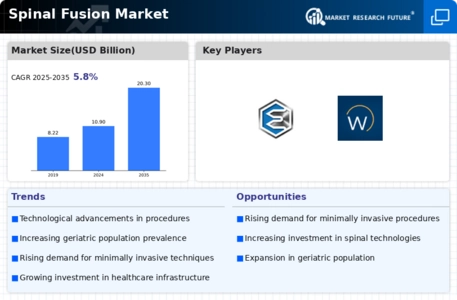 Spinal Fusion Market Infographic
