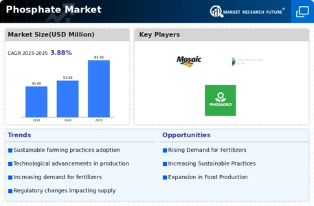 Phosphate Market Infographic