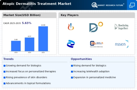 Atopic Dermatitis Treatment Market Infographic