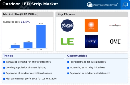 Outdoor LED Strip Market Infographic