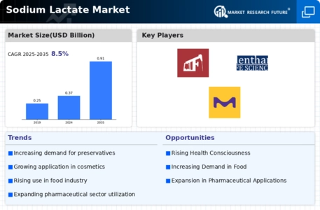 Sodium Lactate Market Infographic