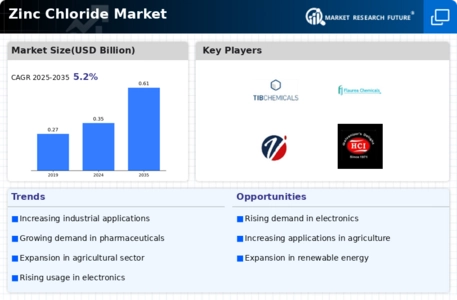 Zinc Chloride Market Research Report - Global Forecast by 2034 Infographic