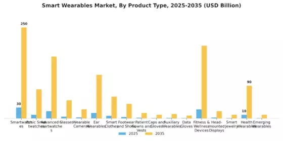 Smart Wearables Market Segment Image 2