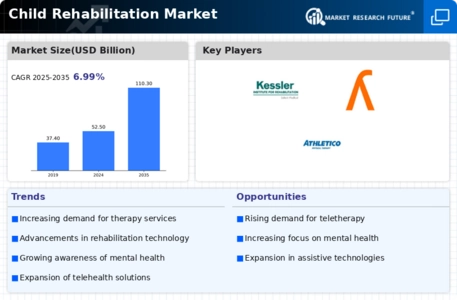 Child Rehabilitation Market Infographic