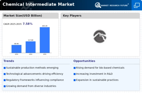 Chemical Intermediate Market Infographic