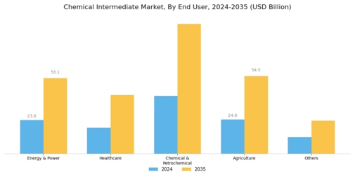 Chemical Intermediate Market Segment Image 1