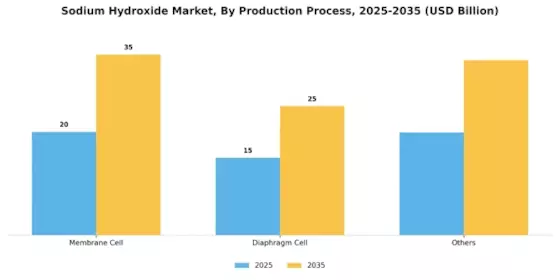 Sodium Hydroxide Market Segment Image 1
