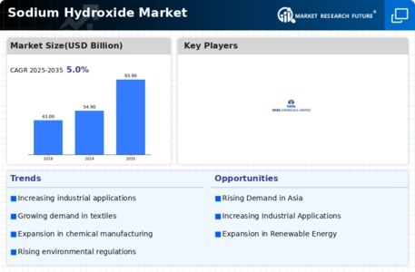 Sodium Hydroxide Market Infographic