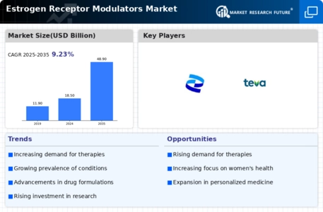 Estrogen Receptor Modulators Market Infographic