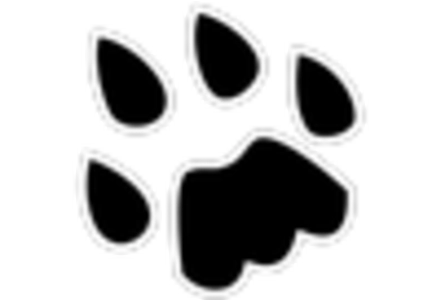 Sodium Ion Battery Market key player