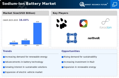 Sodium Ion Battery Market Infographic