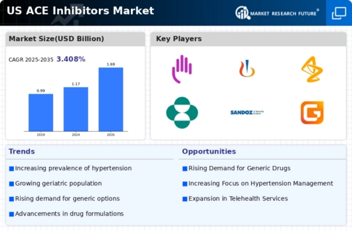 US ACE Inhibitors Market Infographic