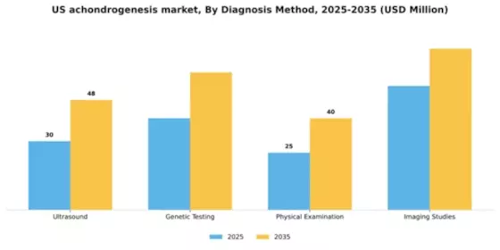 US Achondrogenesis Market Segment Image 0