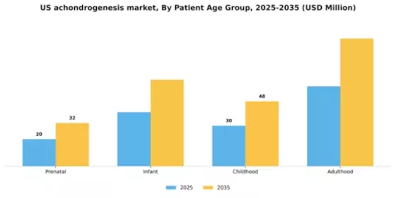 US Achondrogenesis Market Segment Image 1