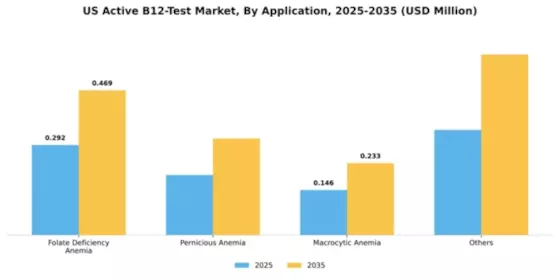US Active B12 Test Market Segment Image 0