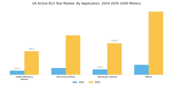 US Active B12 Test Market Segment Image 1