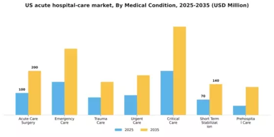 US Acute Hospital Care Market Segment Image 0