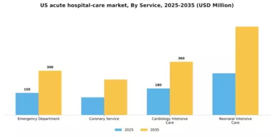 US Acute Hospital Care Market Segment Image 1