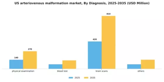 US Arteriovenous Malformation Market Segment Image 0
