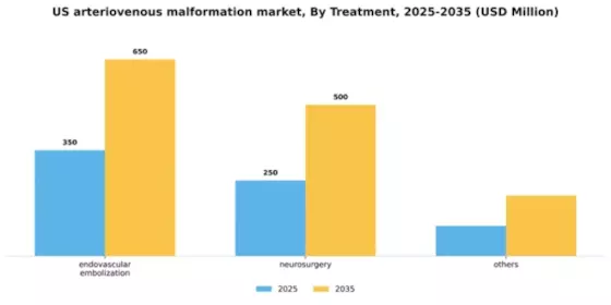 US Arteriovenous Malformation Market Segment Image 2