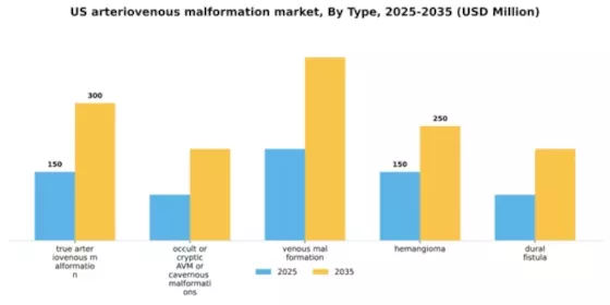 US Arteriovenous Malformation Market Segment Image 3