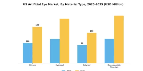 US Artificial Eye Market Segment Image 2