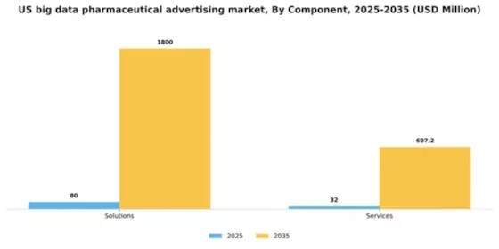 US Big data pharmaceutical advertising Market Segment Image 1